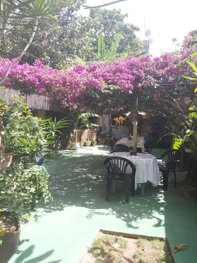 Pousada Terra Do Sol Pipa Praia de Pipa Exterior photo